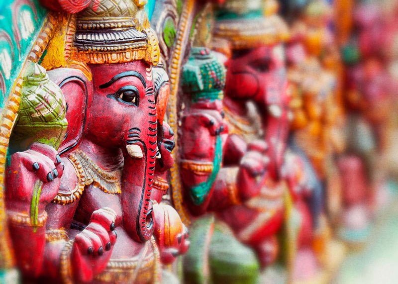  Fototapete Vlies Rasch 363494 Elefant Figur Pink Grün