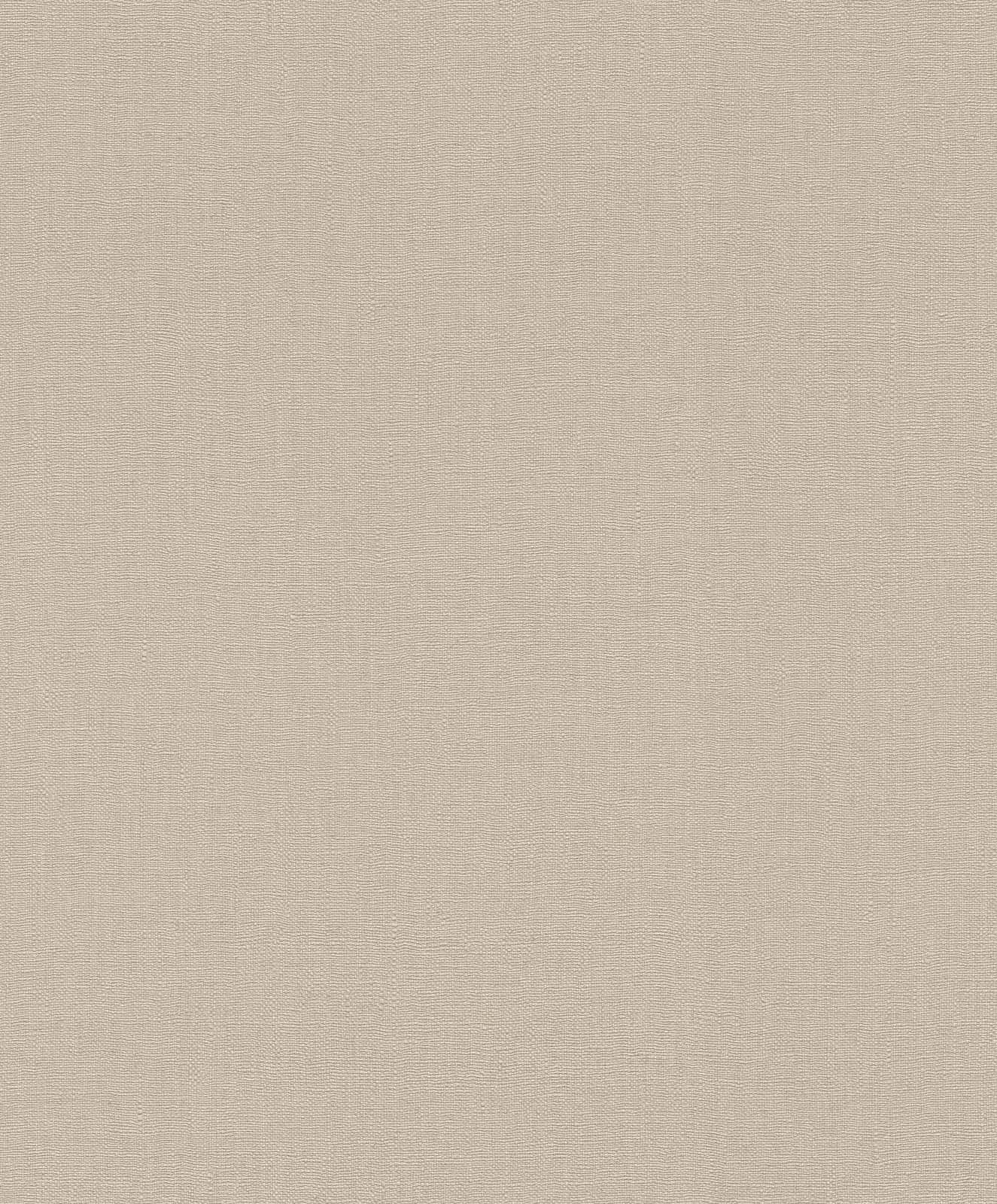  Tapete Barbara Home Collection Einfarbig Beige-Grau