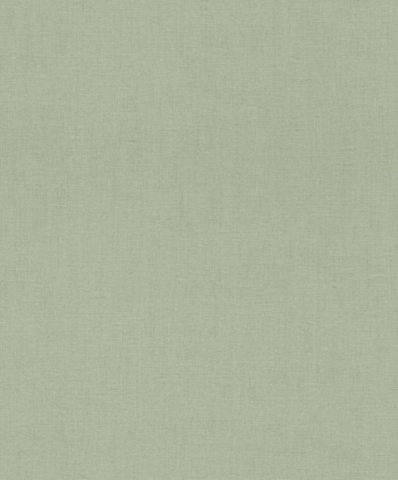  Tapete Vlies Rasch Uni Textil Grün 484588