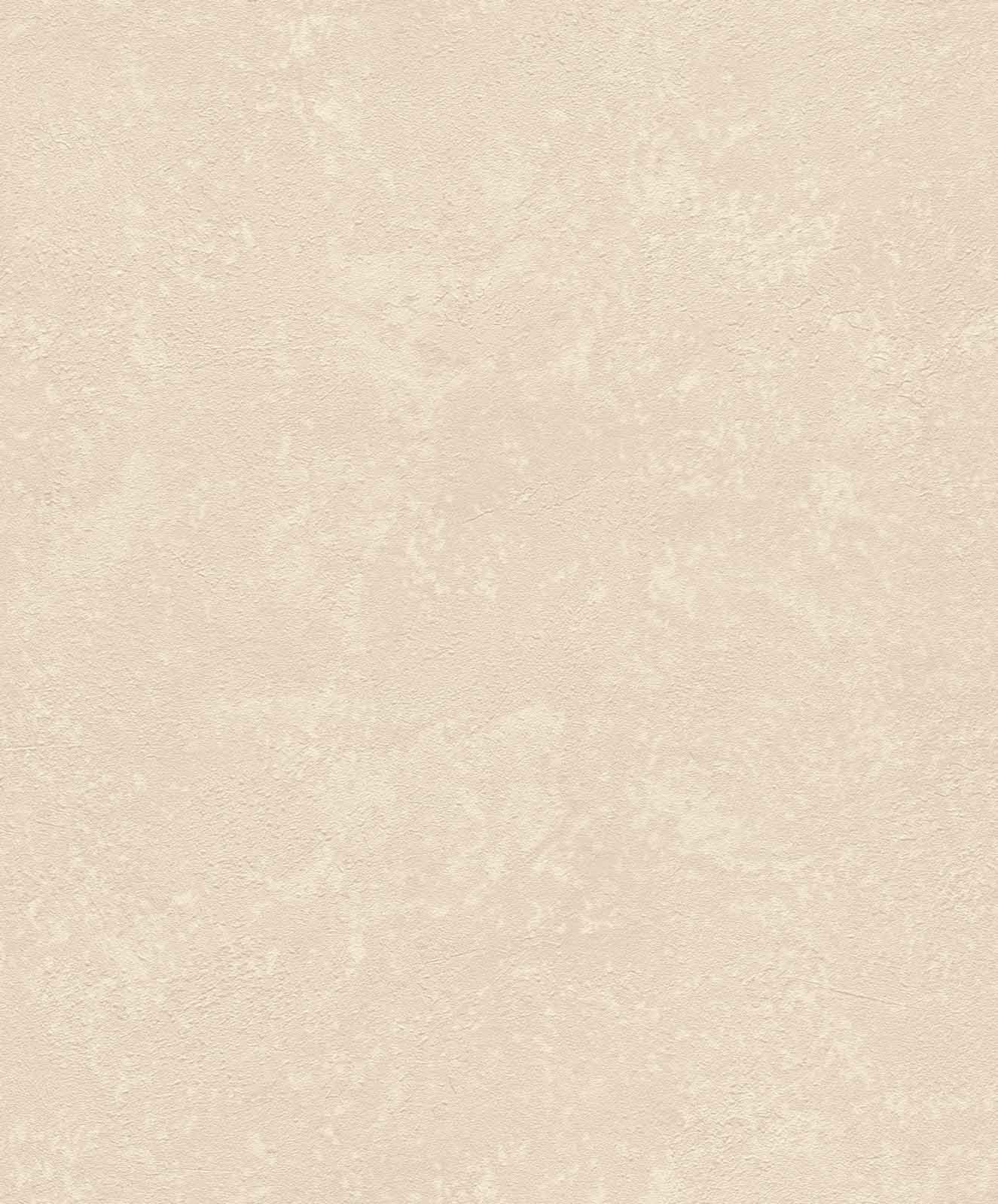 Rasch Vliestapete 315134 Uni Struktur Beige Metallic